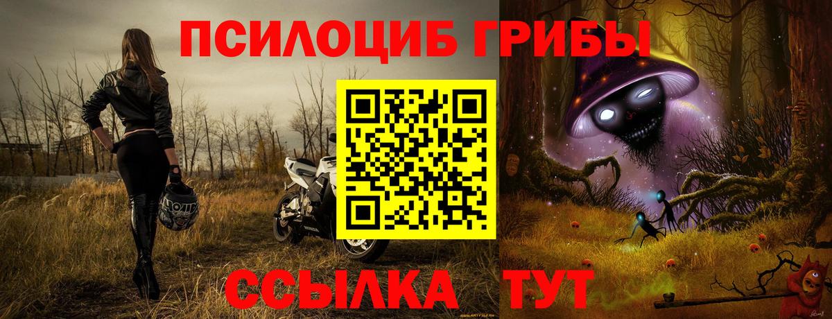 Дубна  Псилоцибиновые грибы Cubensis  Псилоцибиновые грибы Cubensis  Вход с VPN 