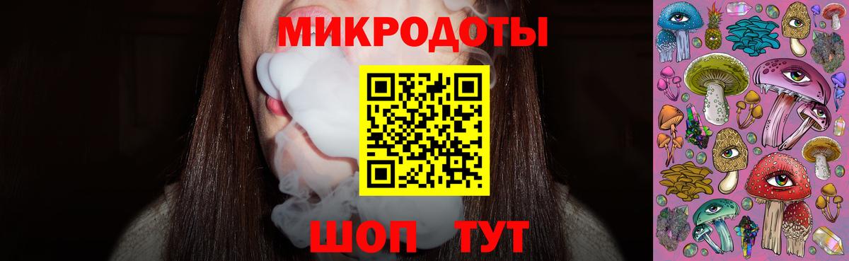 Галлюциногенные грибы Psilocybe Дубна